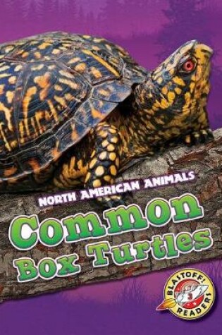 Cover of Common Box Turtles