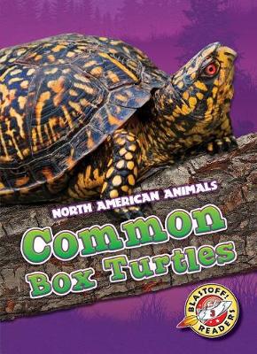 Book cover for Common Box Turtles