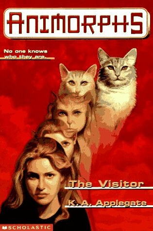 Cover of The Visitor