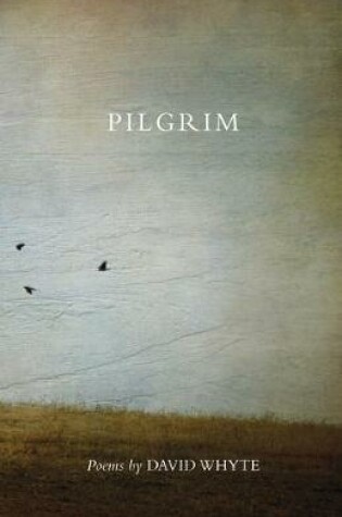 Cover of Pilgrim (Revised) (Revised)