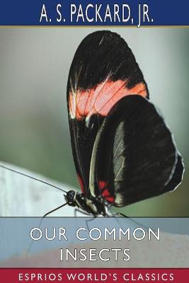 Book cover for Our Common Insects (Esprios Classics)