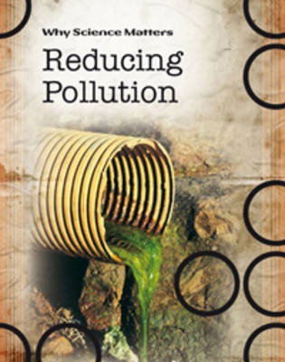 Book cover for Reducing Pollution