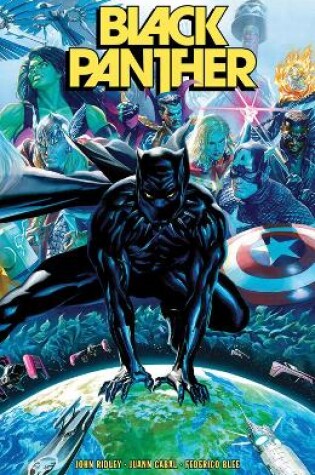 Cover of Black Panther Vol. 1: The Long Shadow Part 1