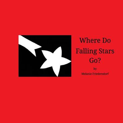 Book cover for Where Do Falling Stars Go?