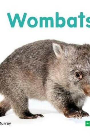 Cover of Wombats