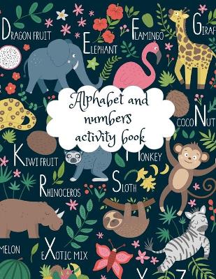 Book cover for Alphabet and numbers activity book