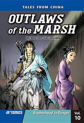 Book cover for Outlaws of the Marsh Volume 10