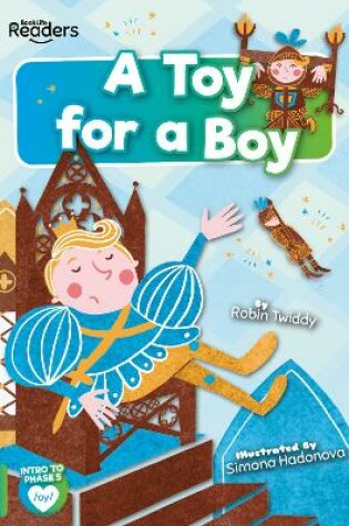 Cover of A Toy for a Boy