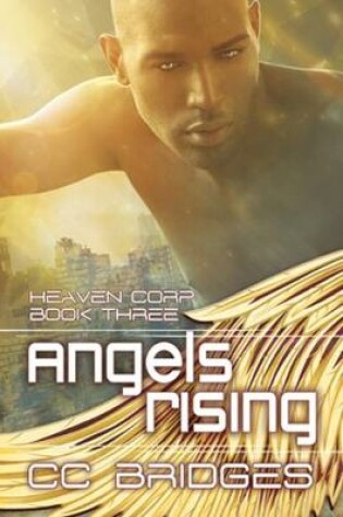 Cover of Angels Rising