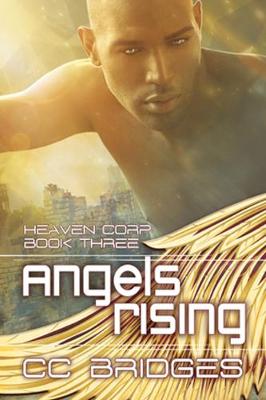 Book cover for Angels Rising