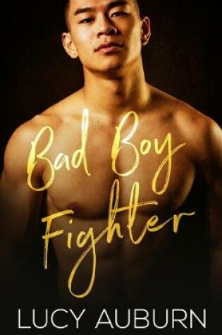 Cover of Bad Boy Fighter