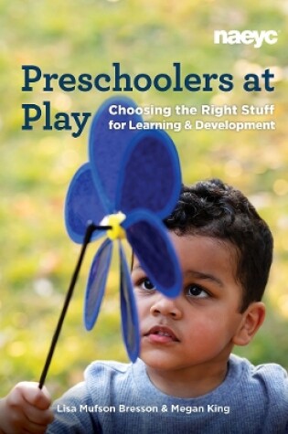 Cover of Preschoolers at Play