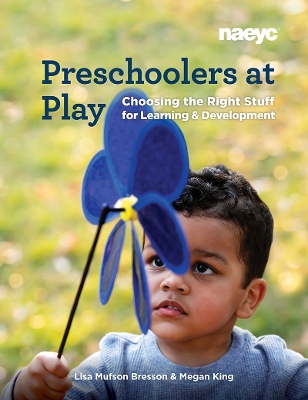 Book cover for Preschoolers at Play
