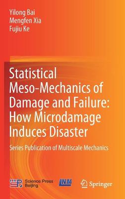 Book cover for Statistical Meso-Mechanics of Damage and Failure: How Microdamage Induces Disaster