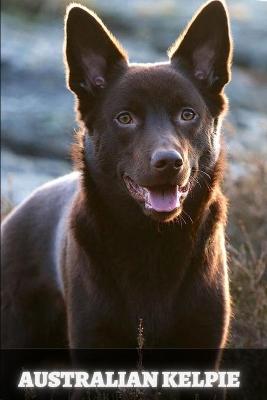 Book cover for Australian Kelpie