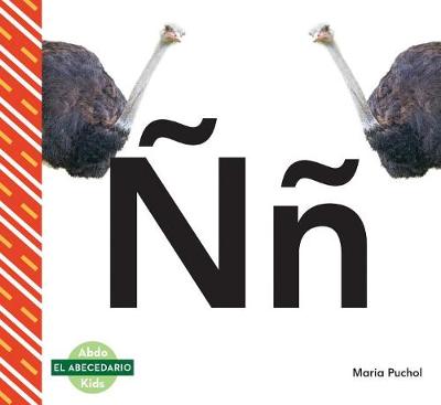 Cover of NN