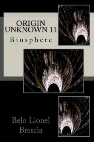 Cover of Origin Unknown 11