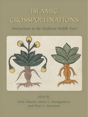 Book cover for Islamic Crosspollinations