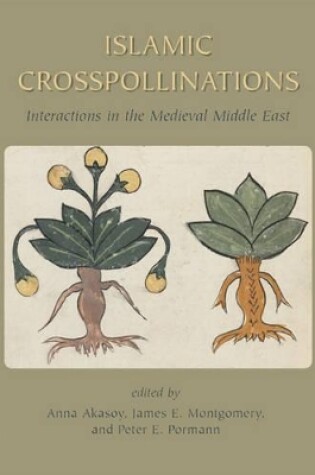 Cover of Islamic Crosspollinations