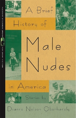 Book cover for A Brief History of Male Nudes in America