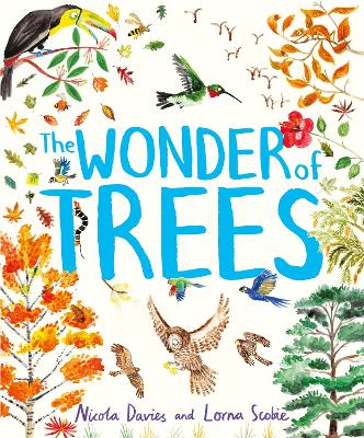 Book cover for The Wonder of Trees