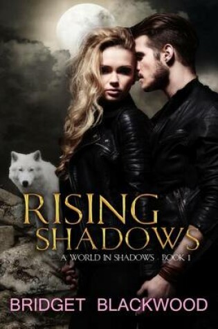 Cover of Rising Shadows