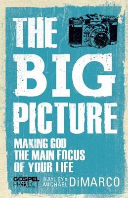 Book cover for Big Picture, The