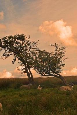 Book cover for A View of a Sunrise on the Yorkshire Moors England Journal