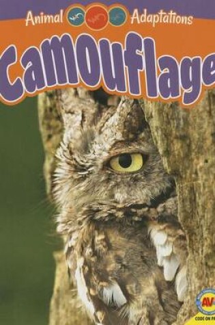 Cover of Camouflage