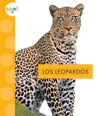Book cover for Los Leopardos