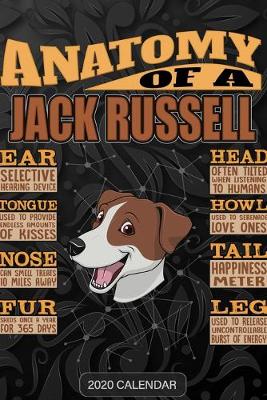 Book cover for Anatomy Of A Jack Russell Terrier Jack Russell JRT Jack face
