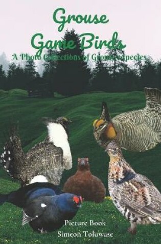 Cover of Grouse Game Birds A Photo Collections of Grouse's species Picture Book