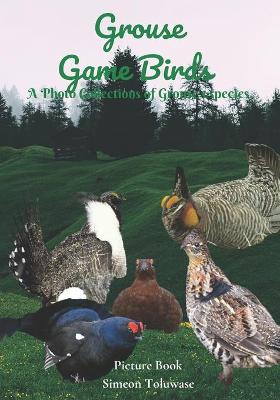 Book cover for Grouse Game Birds A Photo Collections of Grouse's species Picture Book