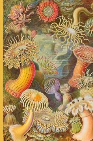 Cover of Composition Journal - Sea Anemones