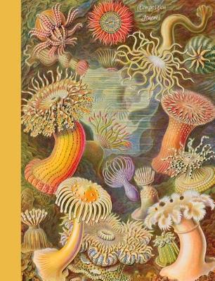 Book cover for Composition Journal - Sea Anemones