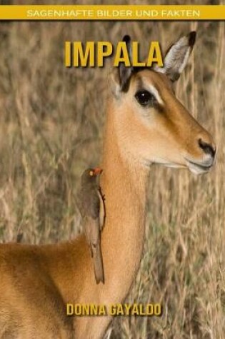 Cover of Impala