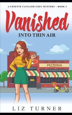 Book cover for Vanished Into Thin Air