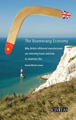 Book cover for The Boomerang Economy