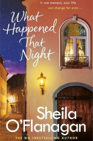 Cover of What Happened That Night