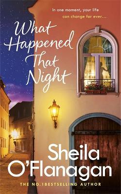 Book cover for What Happened That Night