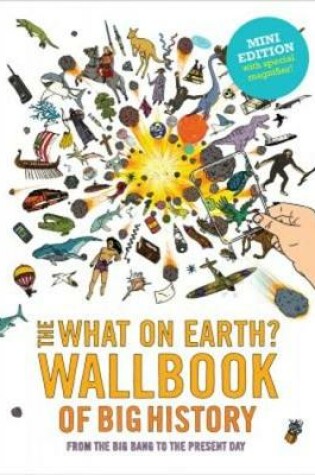 Cover of What on Earth? Quizbook of Big History