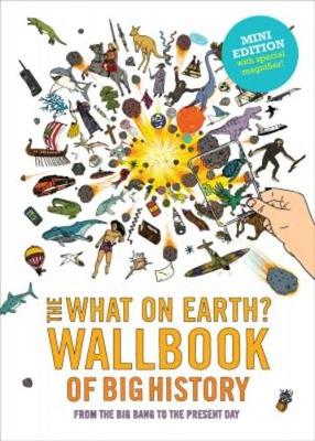 Book cover for What on Earth? Quizbook of Big History