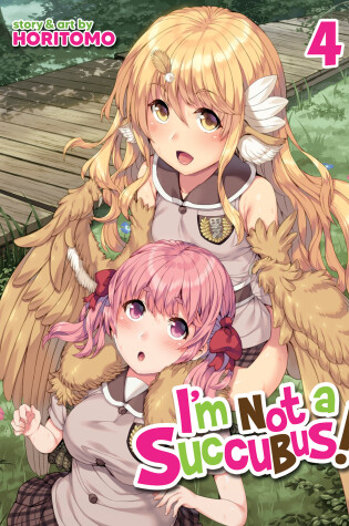 Cover of I'm Not a Succubus! Vol. 4