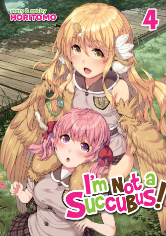 Cover of I'm Not a Succubus! Vol. 4