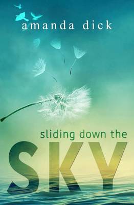 Book cover for Sliding Down the Sky