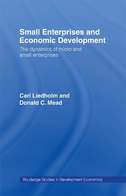 Cover of Small Enterprises and Economic Development