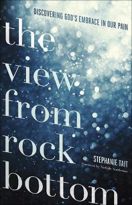 Book cover for The View from Rock Bottom
