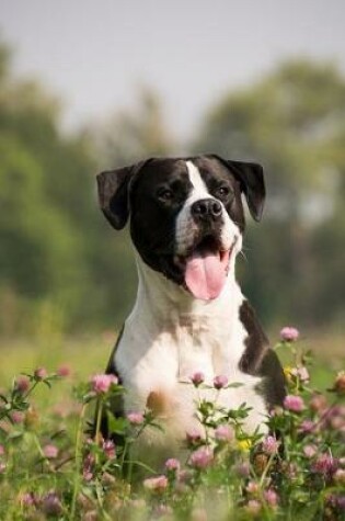 Cover of Cheerful Dog in the Meadow Journal