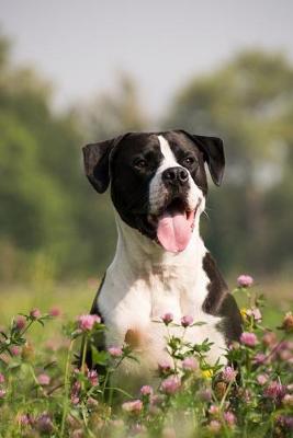 Book cover for Cheerful Dog in the Meadow Journal