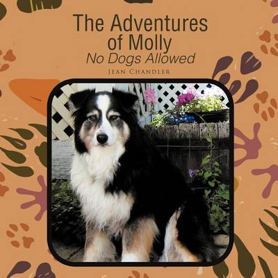 Book cover for The Adventures of Molly